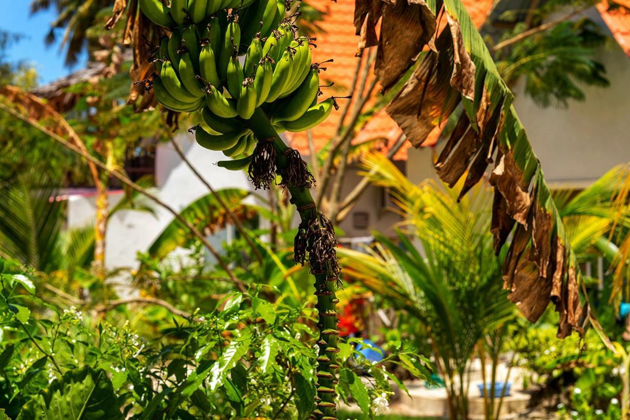 Heart Of Zanzibar Bungalows Paje Esterno foto